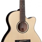 Takamine EG463SC