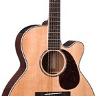 Takamine EG540DLX