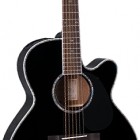 Takamine EG541DLX