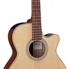 Takamine EG260C