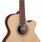 Takamine G260C