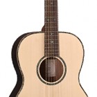 Takamine G406S