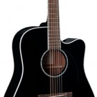 Takamine EG341C