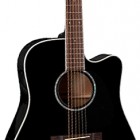 Takamine EG341SC