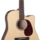 Takamine EG350SC