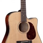 Takamine EG355SC