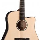 Takamine EG363SC