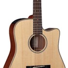 Takamine EG511SSC