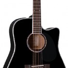 Takamine EG531DLX