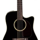 Takamine EG531SC