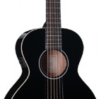 Takamine EG Mini