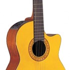 Takamine EG124C