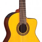 Takamine EG128SC