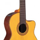 Takamine EG522C