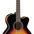 Takamine TB250SC