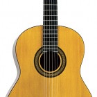 Jasmine By Takamine C20