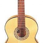 Rodriguez C3 Flamenco