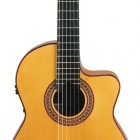 Rodriguez FF Cutaway