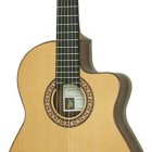 Rodriguez D Cutaway