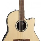 Ovation CC24