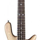 Warwick P Nut Signature 5