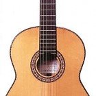 Rodriguez Norman Flamenco