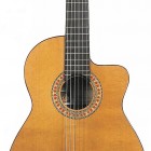 Rodriguez C Cutaway