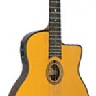 Saga DG-455 Selmer Style Jazz Guitar Petite Bouche