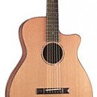 TG 100 12 Fret