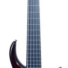 KZ 5 Fretless