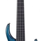 The Artist 5 Fretless