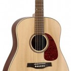 Seagull Guitars Maritime SWS Rosewood