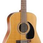 Seagull Guitars Coastline Cedar 12