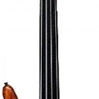 Warwick Thumb NT 4 Fretless