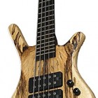 Corvette $$ SE Musik Produktiv Spalted Maple 5