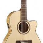 Seagull Guitars Performer Cutaway Folk QI