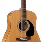 Seagull Guitars Original S6 QI