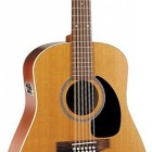 Seagull Guitars Coastline Cedar S12 QI 