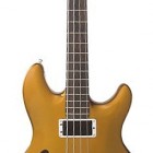 Skyline Fretless Hollowbody