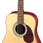 Cort Earth70 12 String