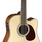 MR710F 12 String