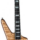 Warwick Reverso Signature