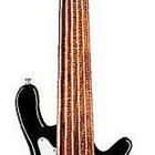 Steve Bailey Signature 6 Fretless