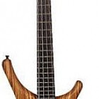 Warwick Infinity SN TCS