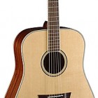 Parkwood Guitars PW310M