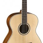 Parkwood Guitars PW320M