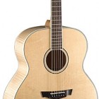 Parkwood Guitars PW340M