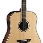 Parkwood Guitars PW510