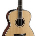 Parkwood Guitars PW520