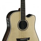 Parkwood Guitars PW560